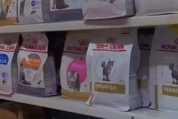 Pet Shop Terdekat di Jakarta Selatan