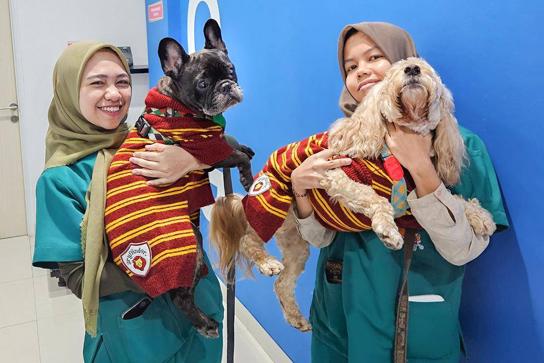 Pet Shop Terdekat di Jakarta Selatan