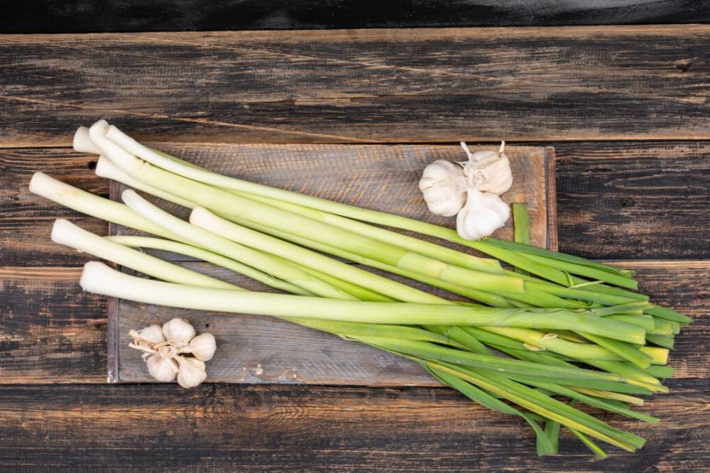 Manfaat Daun Bawang untuk MPASI 4.png