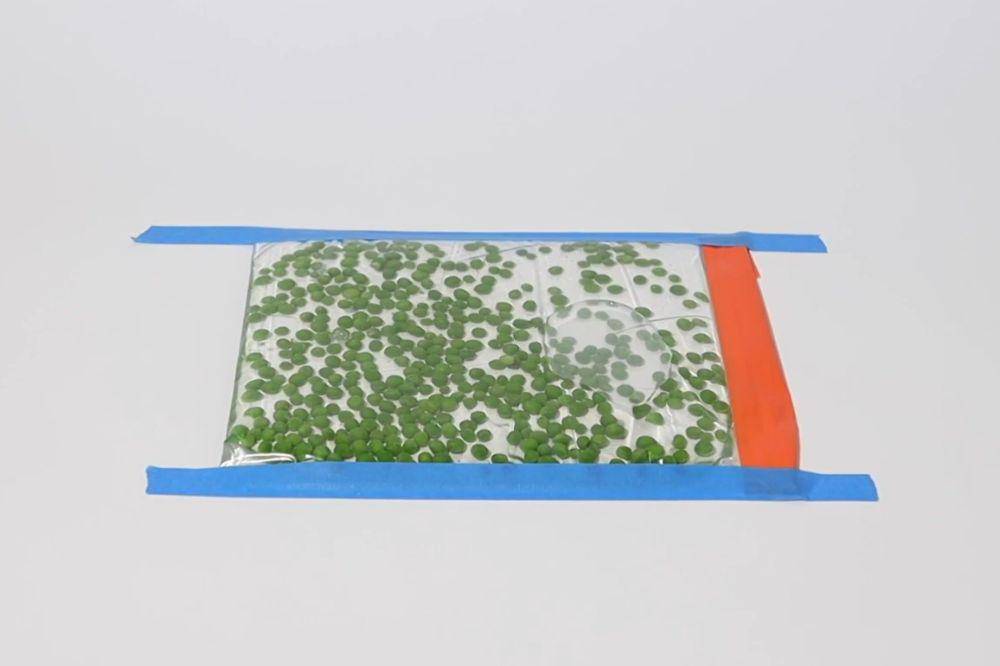 DIY Pea Sensory Bag