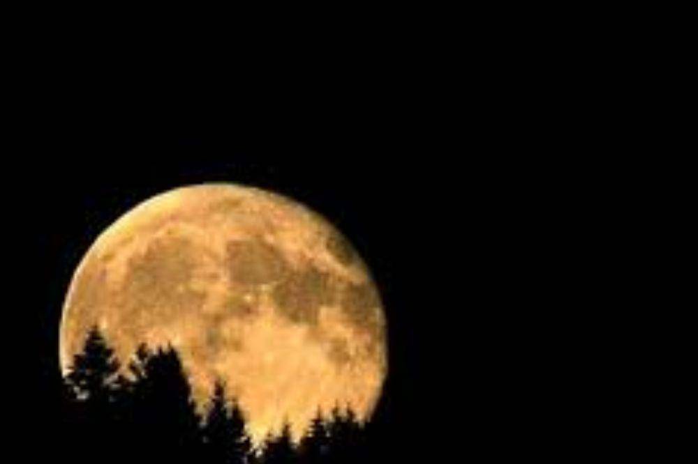 Buck Moon