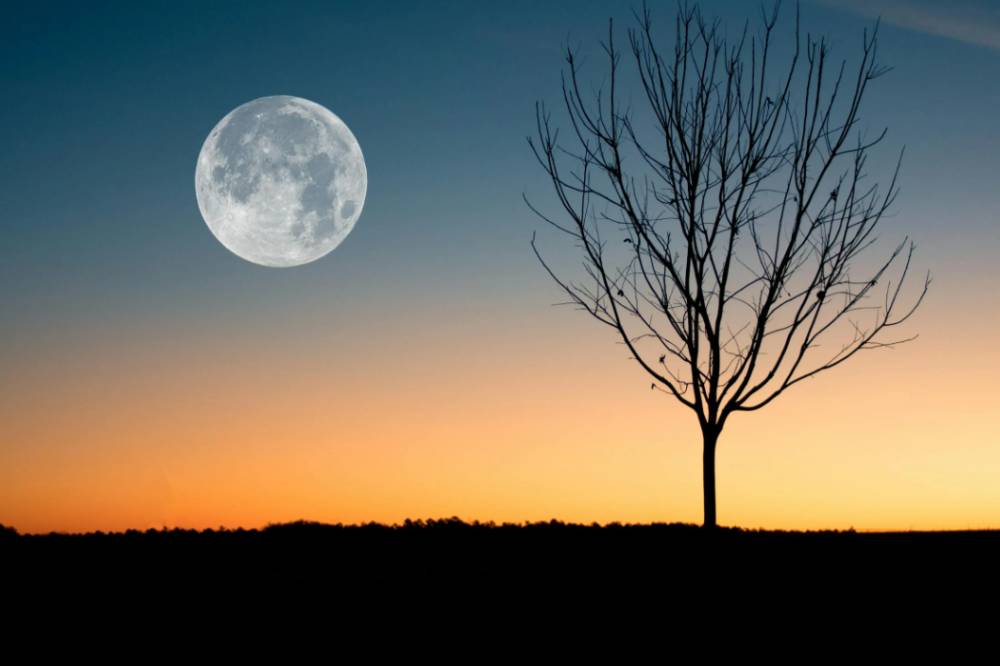 7 Fenomena Langit Ini Bakal Terjadi Bulan Juli 2025 4.png