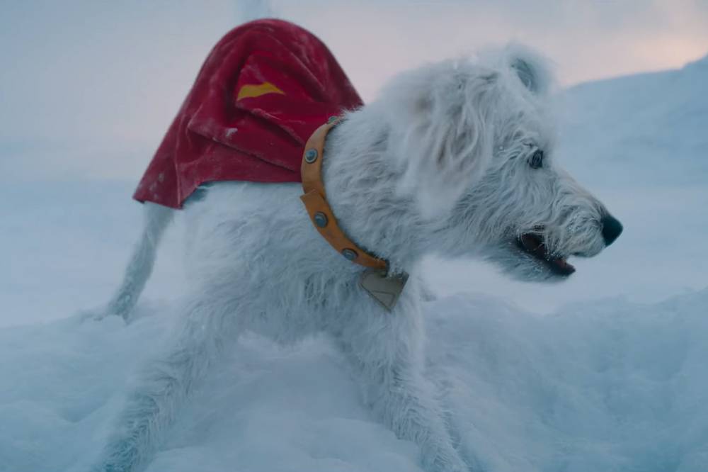Fakta Krypto Anjing Superman