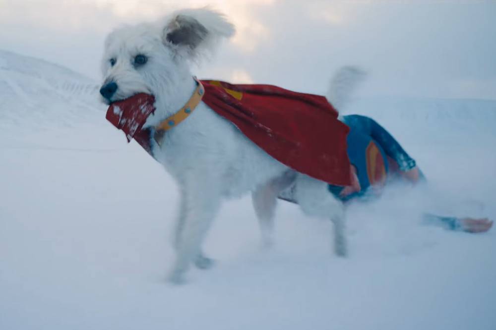 Fakta Krypto Anjing Superman