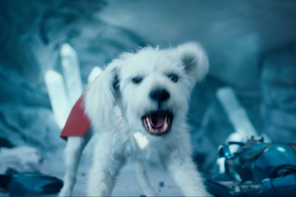 Fakta Krypto Anjing Superman