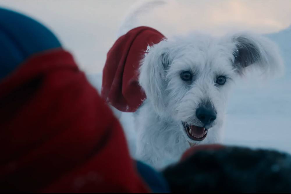 Fakta Krypto Anjing Superman