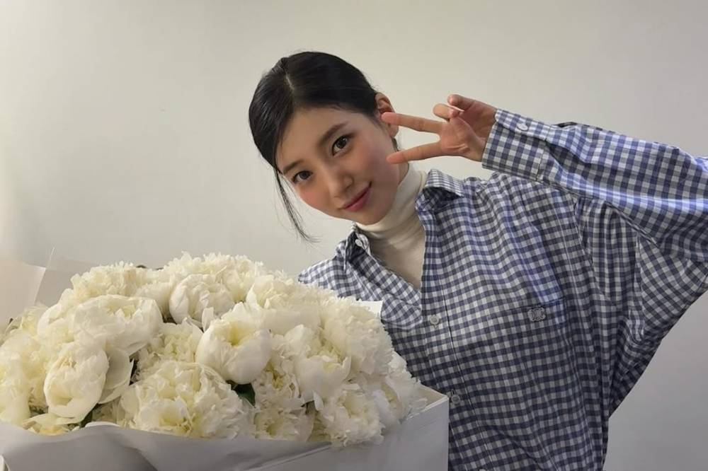 Profil dan Biodata Bae Suzy, Si Nation First Love Korea (3).png