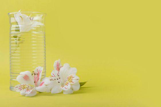 7 Fakta Bunga Lily of the Valley, Pernah Dipakai Luna Maya