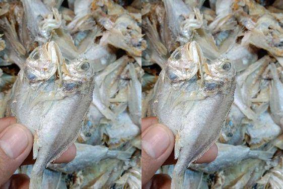 Benarkah Sering Makan Ikan Asin Bisa Sebabkan Kanker?