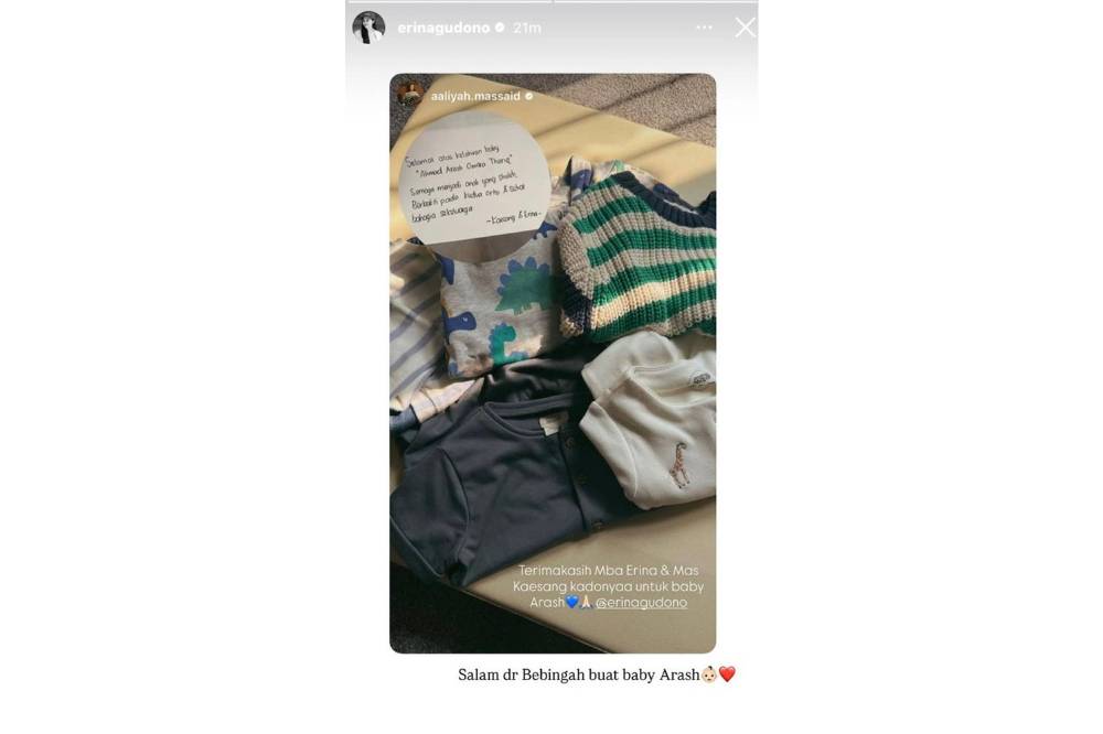 Instagram.com/erinagudono