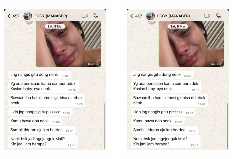 Kumpulan Chat Kesedihan Erika Carlina saat Hamil, Ada Chat DJ Panda