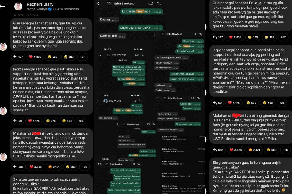 Kumpulan Chat Kesedihan Erika Carlina saat Hamil, Ada Chat DJ Panda