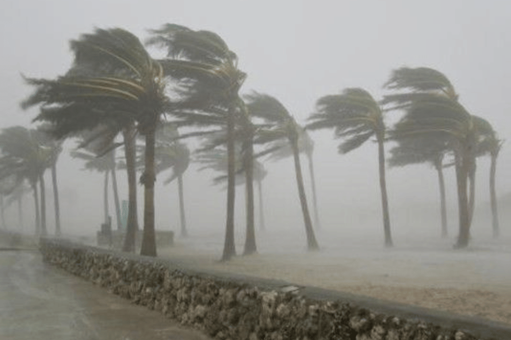 Ilustrasi angin topan