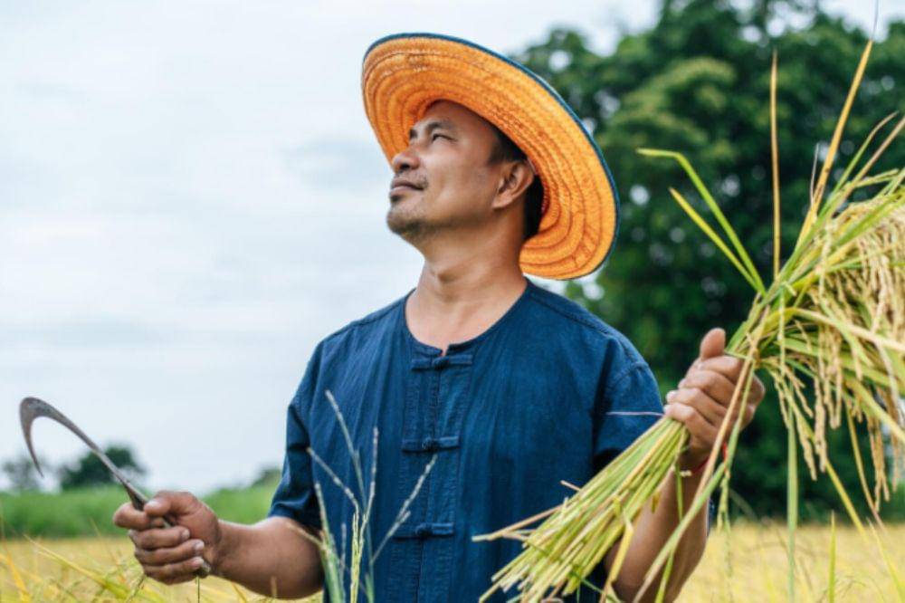 5 Cara Tumbuhan Menyebarkan Bijinya