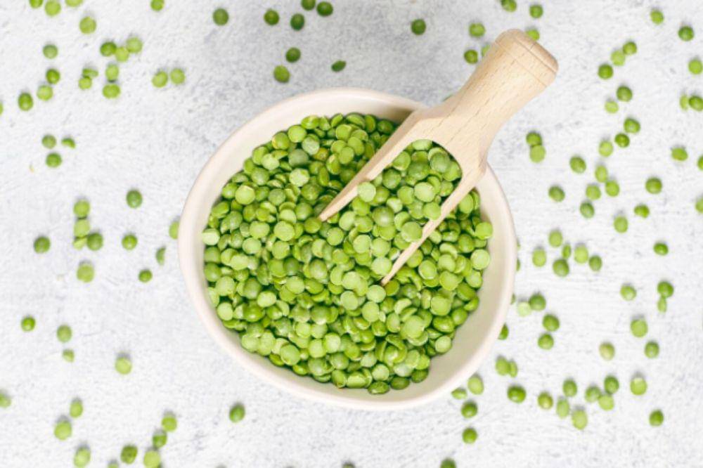 5 Cara Tumbuhan Menyebarkan Bijinya