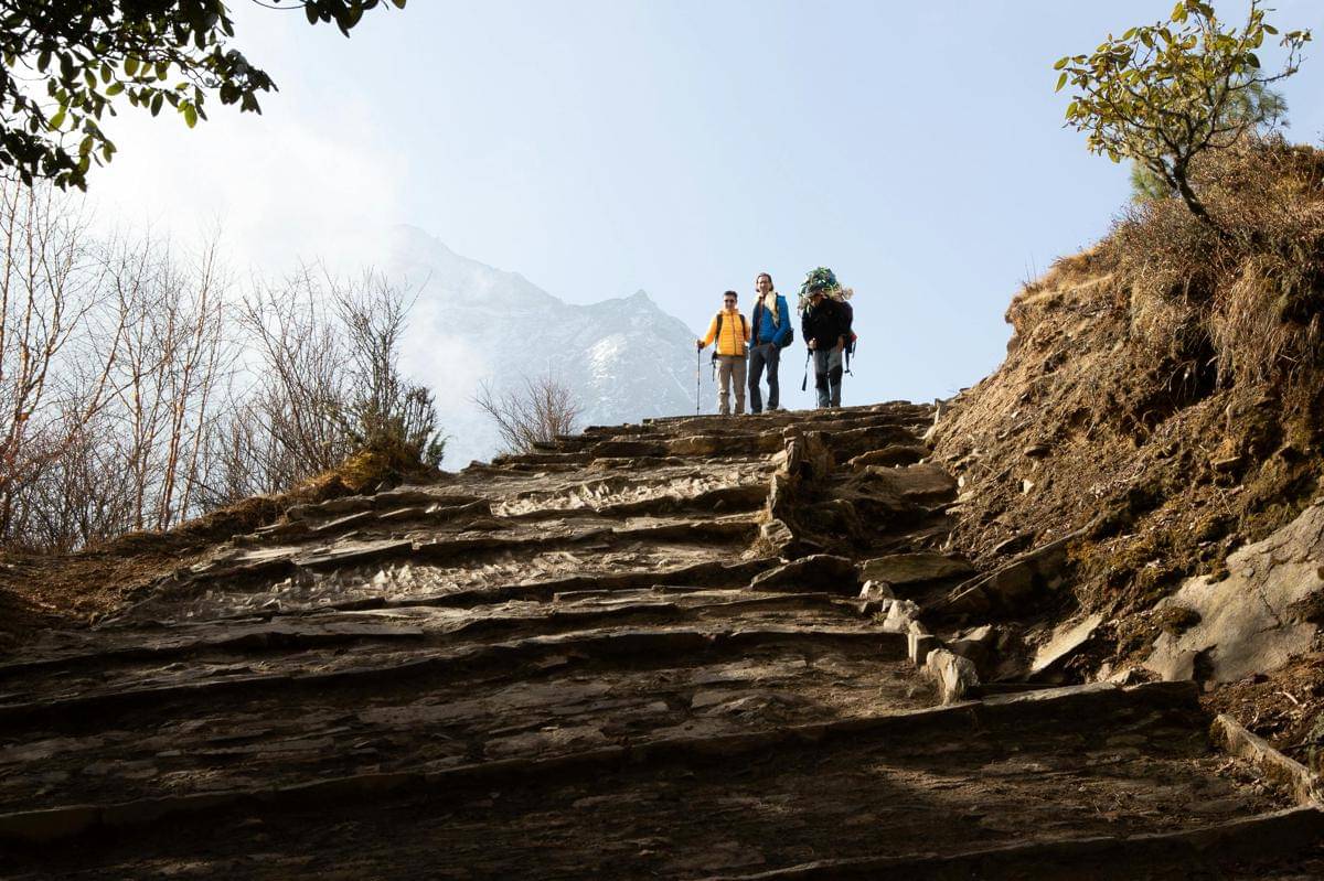 10 Daftar Negara yang Malas Jalan Kaki