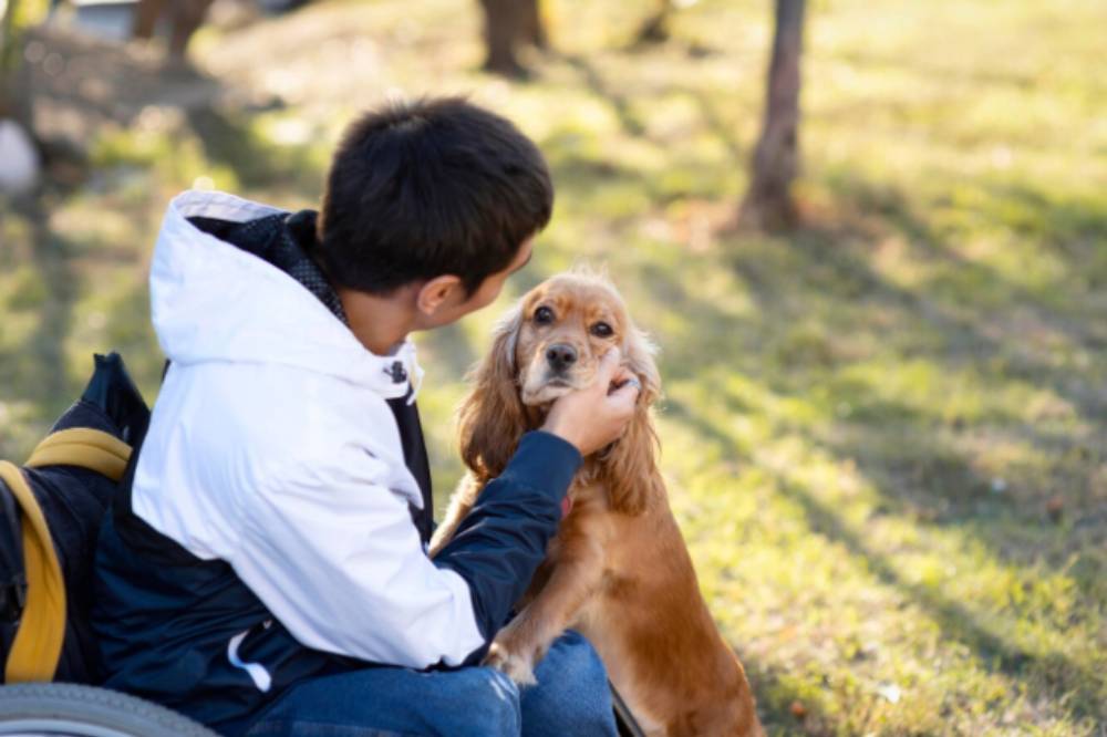 9 Alasan Anjing Menggonggong saat Malam, Buat Anak Takut Tidur Sendiri