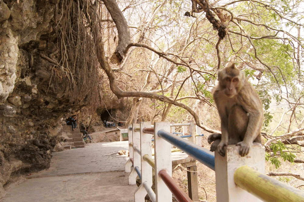 32 Tempat Wisata Alam di Jawa Tengah Terdekat, Tinggal Pilih! (14).png
