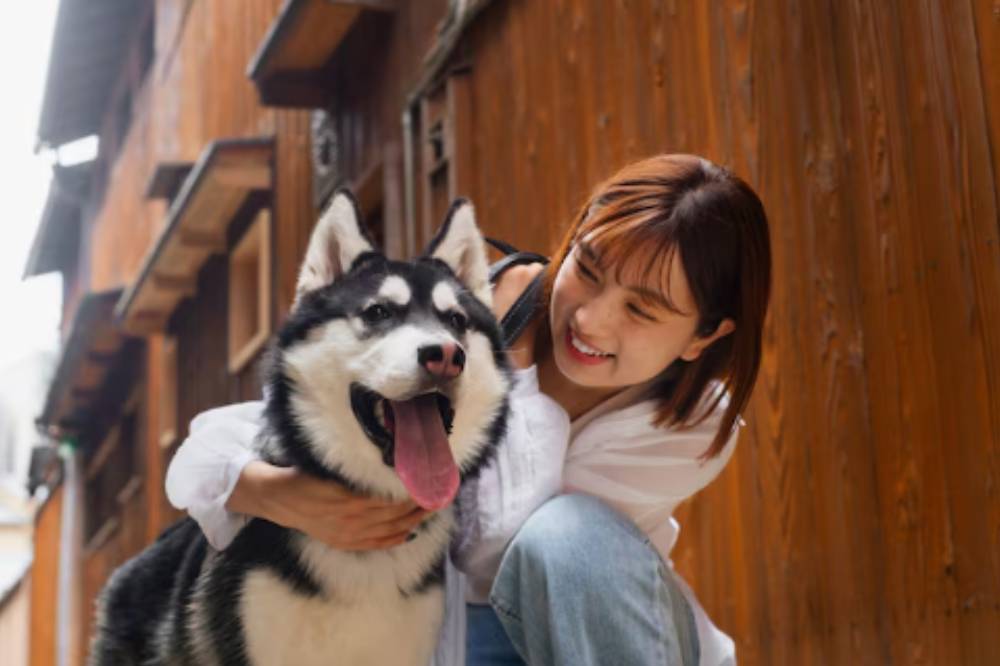 9 Alasan Anjing Menggonggong saat Malam, Buat Anak Takut Tidur Sendiri