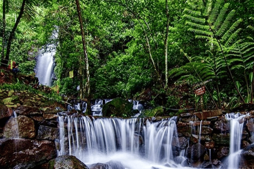 13 Tempat Wisata Alam Mojokerto Terdekat yang Wajib Dikunjungi (1).png