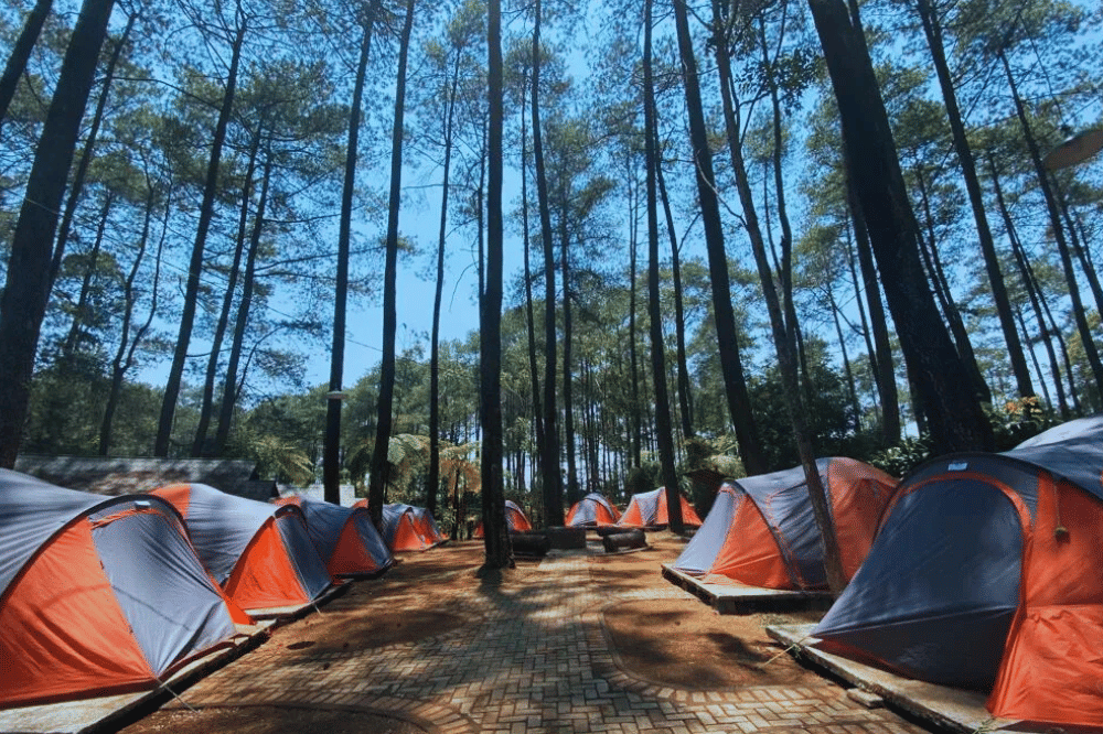 12 Tempat Wisata Alam Lembang Terdekat, Favorit Wisatawan!.png