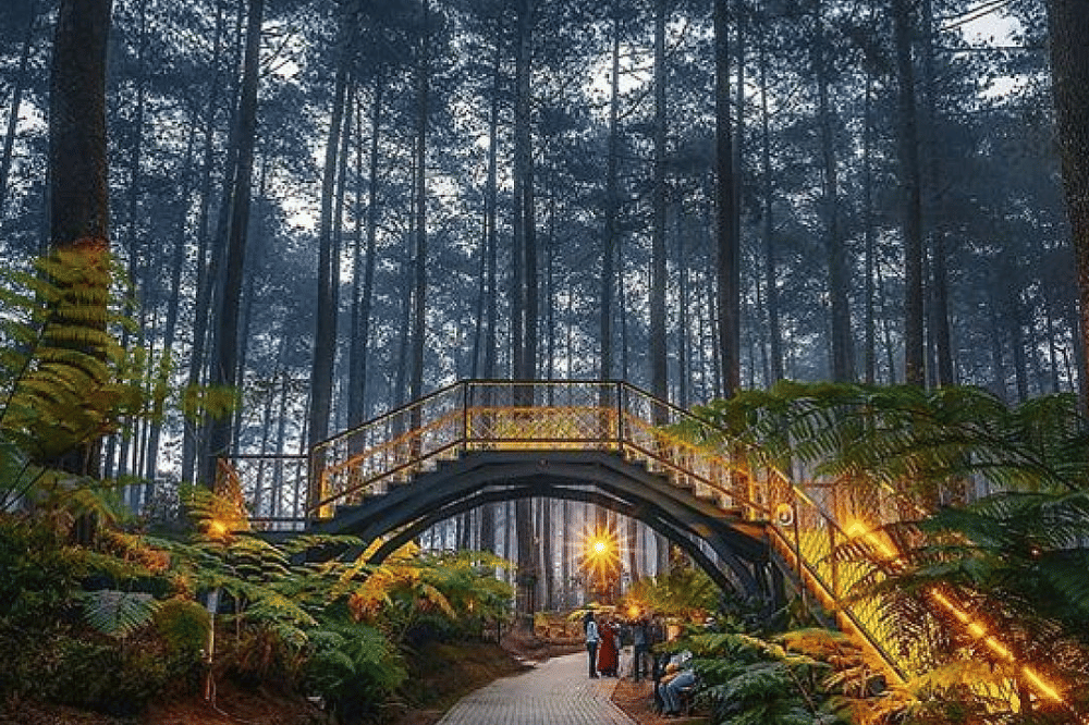 12 Tempat Wisata Alam Lembang Terdekat, Favorit Wisatawan! (10).png