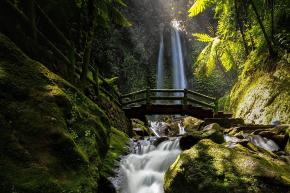 12 Tempat Wisata Alam di Solo Terdekat dan Mudah Dijangkau (1).png