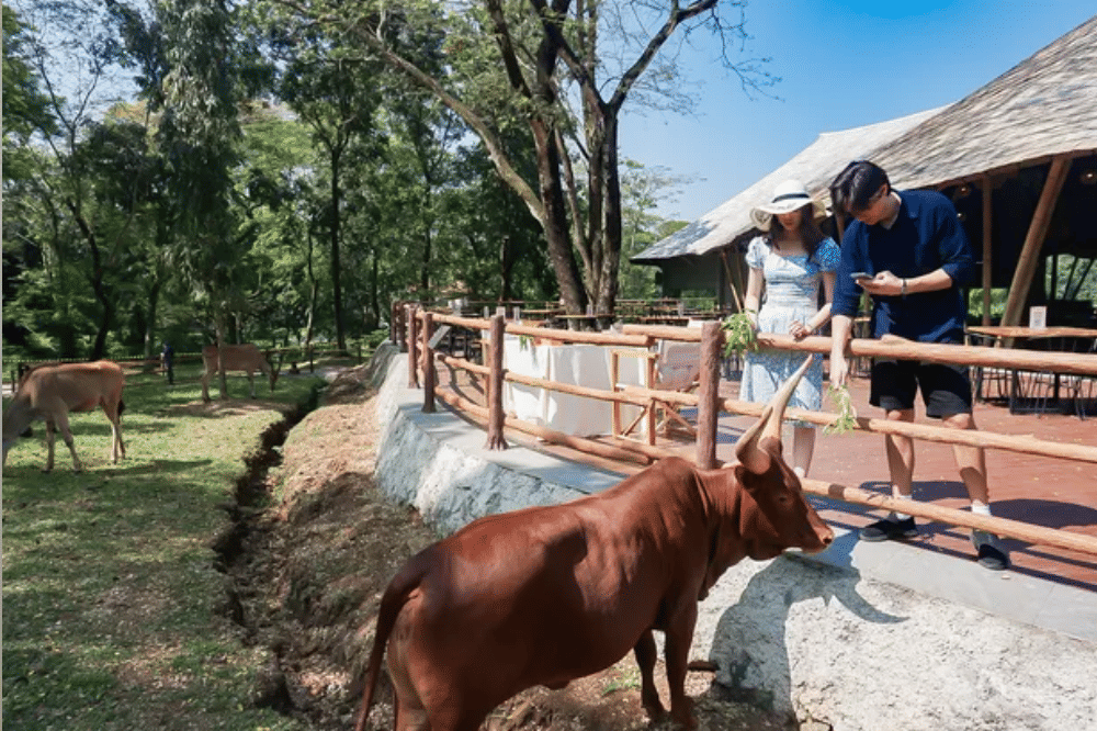 12 Tempat Wisata Alam di Solo Terdekat dan Mudah Dijangkau (7).png