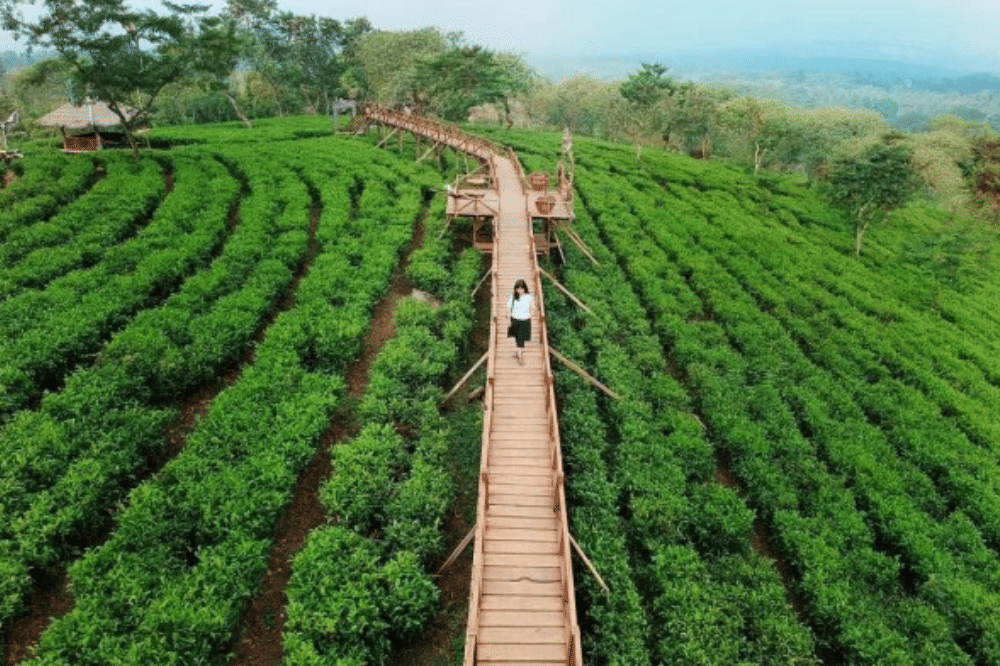 23 Tempat Wisata Alam di Jawa Timur Terdekat, Beragam Pilihan! (4).png