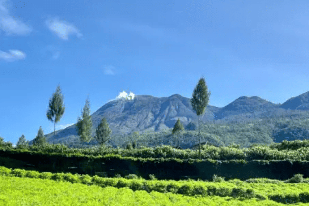 23 Tempat Wisata Alam di Jawa Timur Terdekat, Beragam Pilihan! (12).png