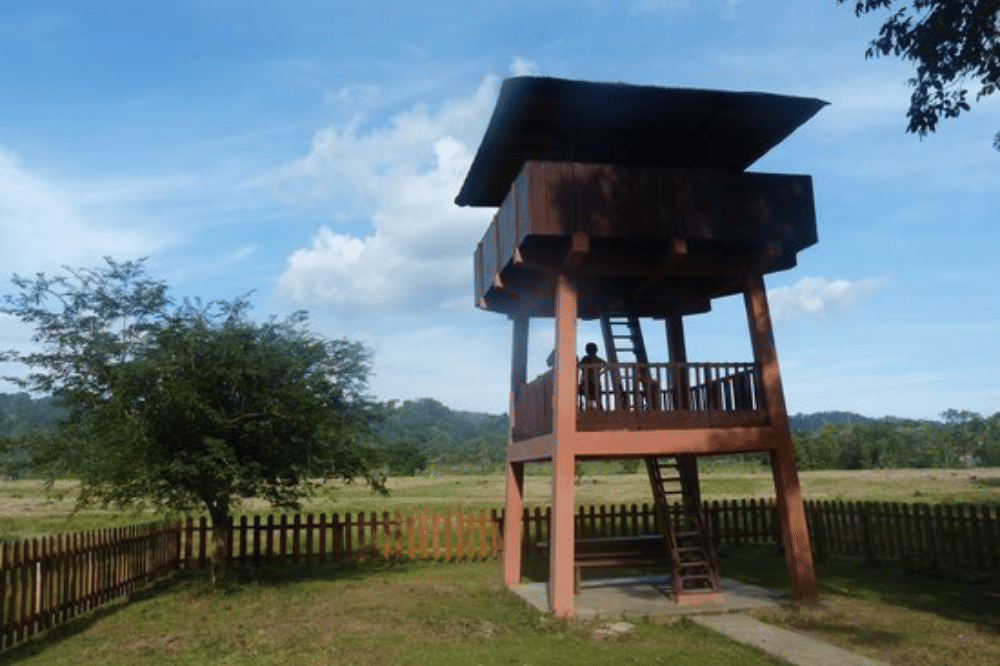 23 Tempat Wisata Alam di Jawa Timur Terdekat, Beragam Pilihan!.png