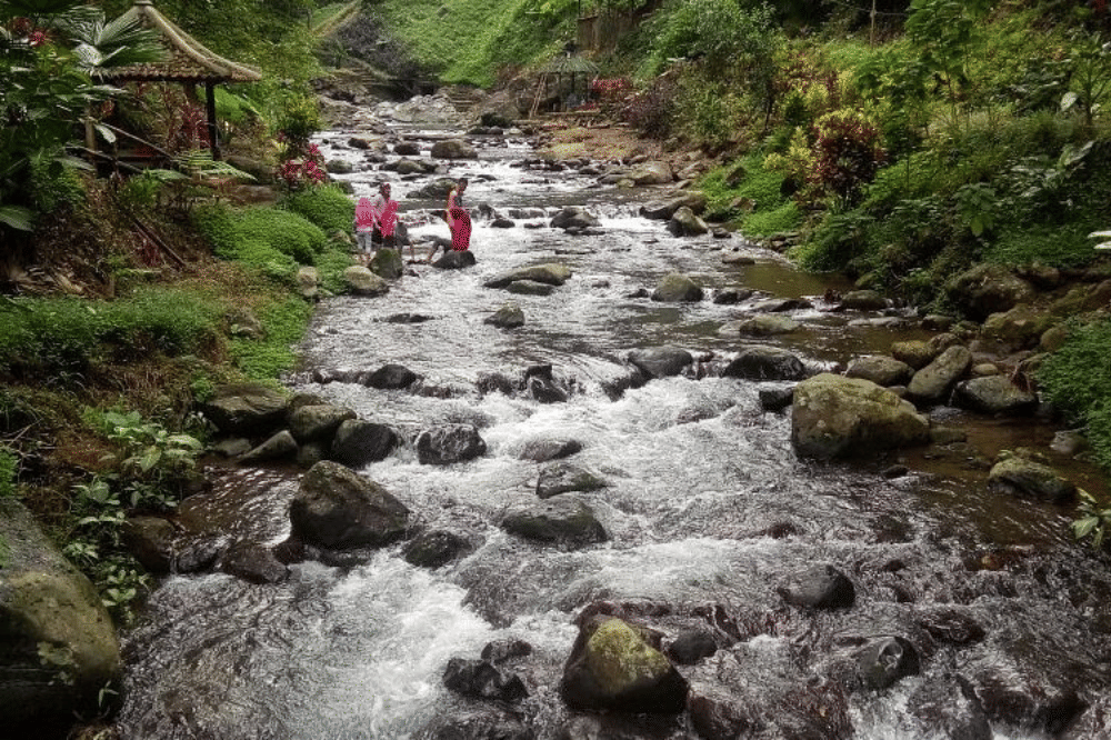 23 Tempat Wisata Alam di Jawa Timur Terdekat, Beragam Pilihan!.png