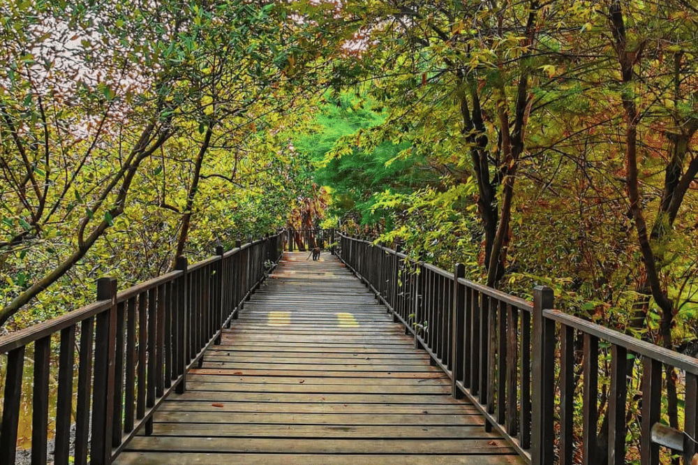 23 Tempat Wisata Alam di Jawa Timur Terdekat, Beragam Pilihan! (5).png