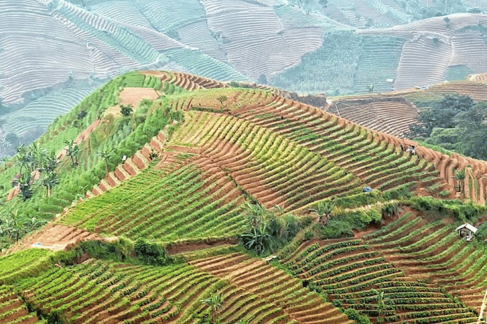12 Tempat Wisata Alam di Majalengka Terdekat, Banyak Hidden Gem! (7).png