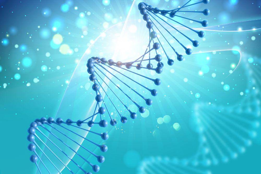 Memahami Karakter Anak Melalui Tes DNA dan Mainan yang Tepat