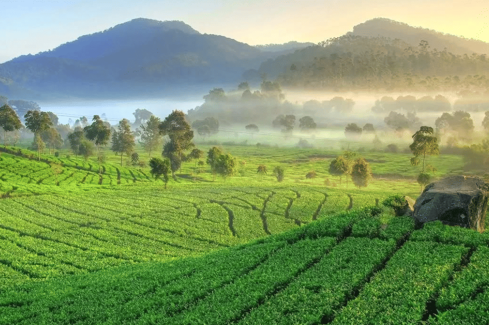 12 Tempat Wisata Alam di Majalengka Terdekat, Banyak Hidden Gem! (1).png