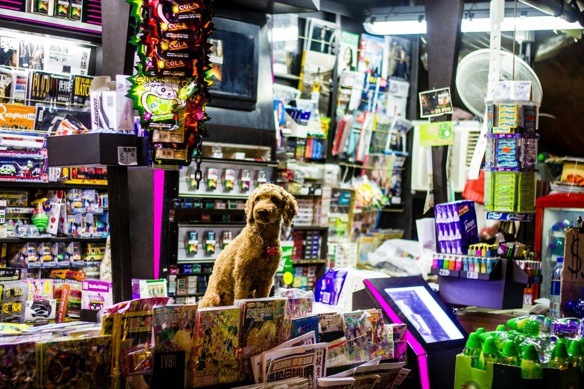 Pet Shop Terdekat di Jakarta Utara