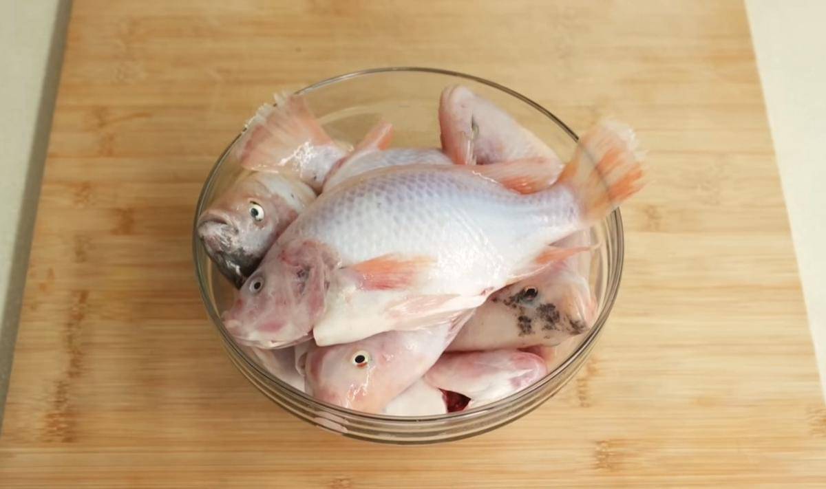 ilustrasi ikan nila (YouTube.com/Devina Hermawan)