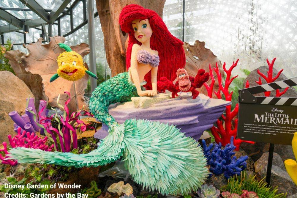 Disney Garden of Wonder