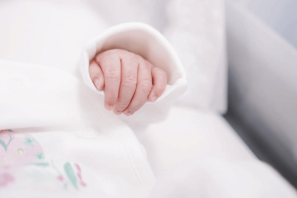 Instagram.com/vaelovexia