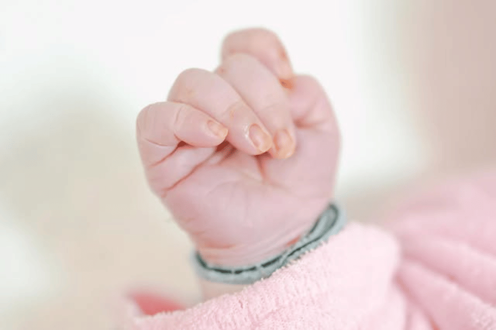 Instagram.com/miskashf