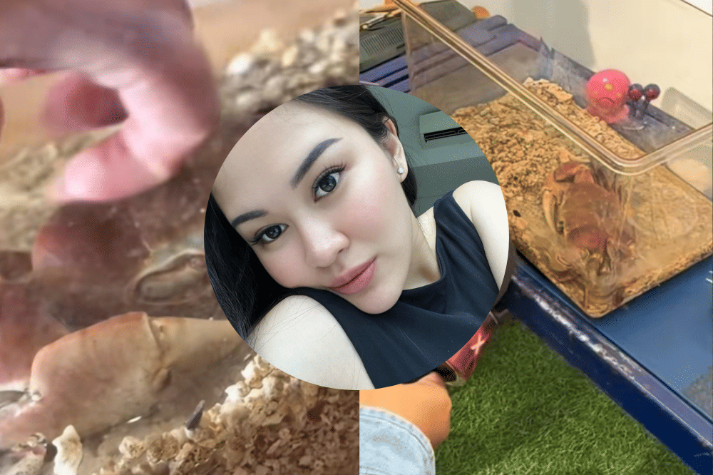 Video Lucu TikTokers Pelihara Kepiting