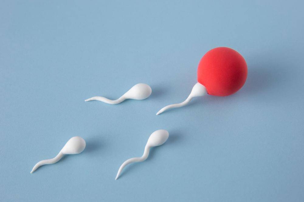 Cara Meningkatkan Jumlah Sperma Secara Alami (1).jpg