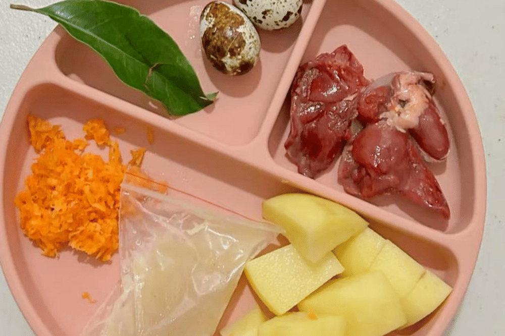 Pinterest.com/dinoocat