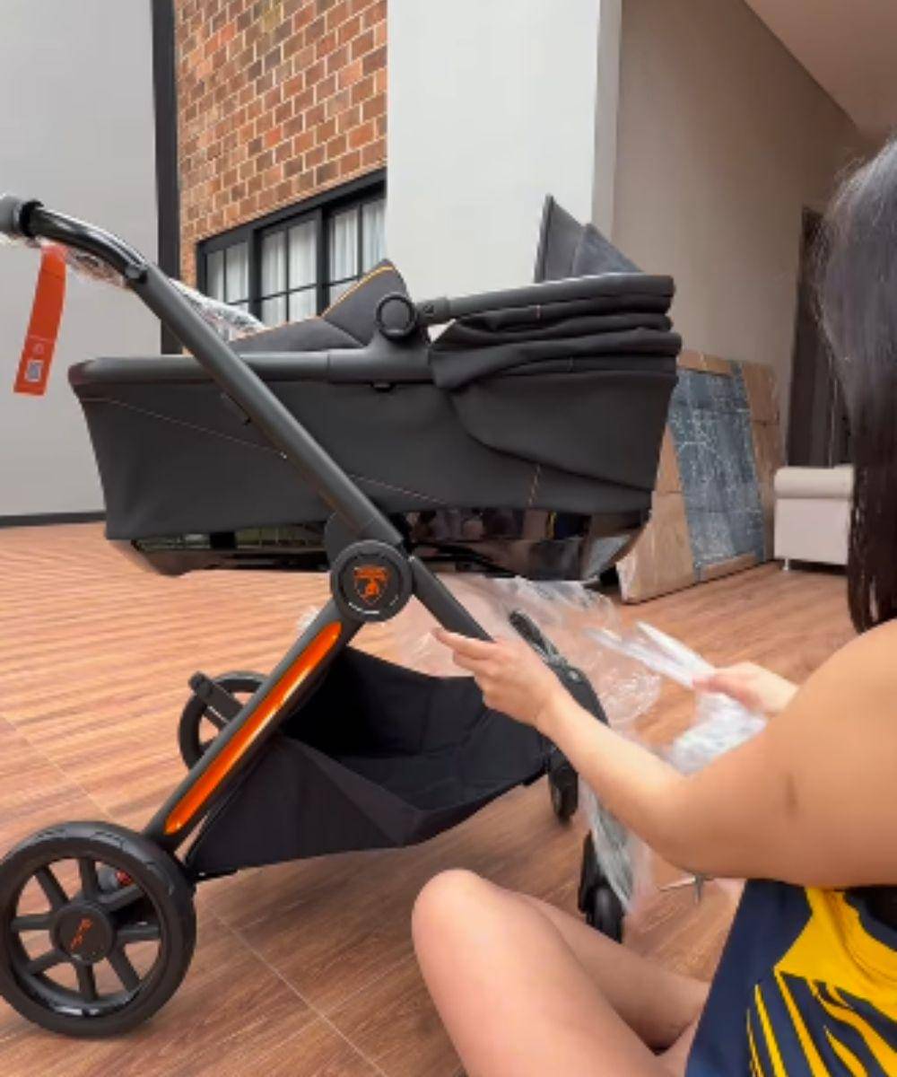 stroller baby andrew erika carlina