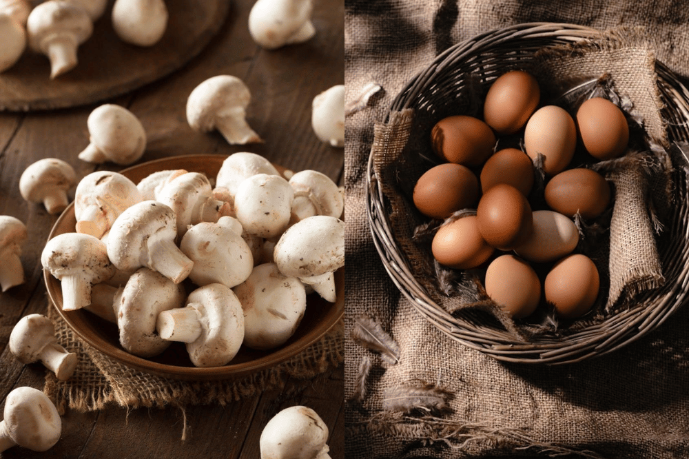 Jamur dan telur .png