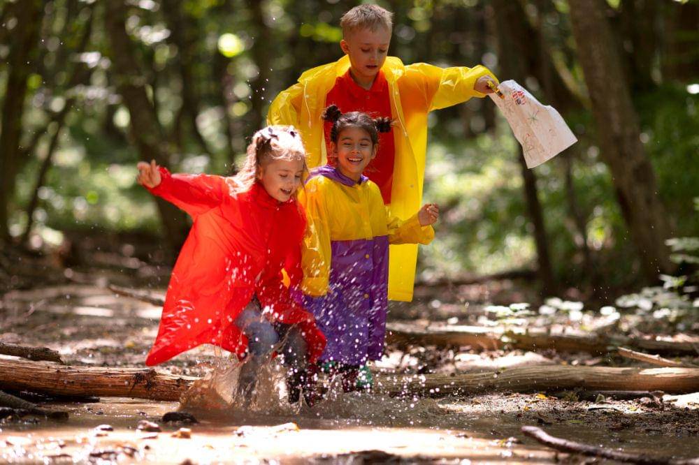 Children in the forest