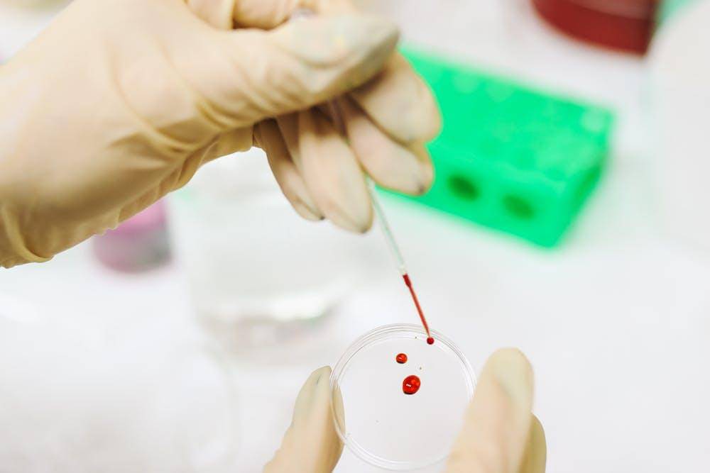 Pexels/Polina Tankilevitch