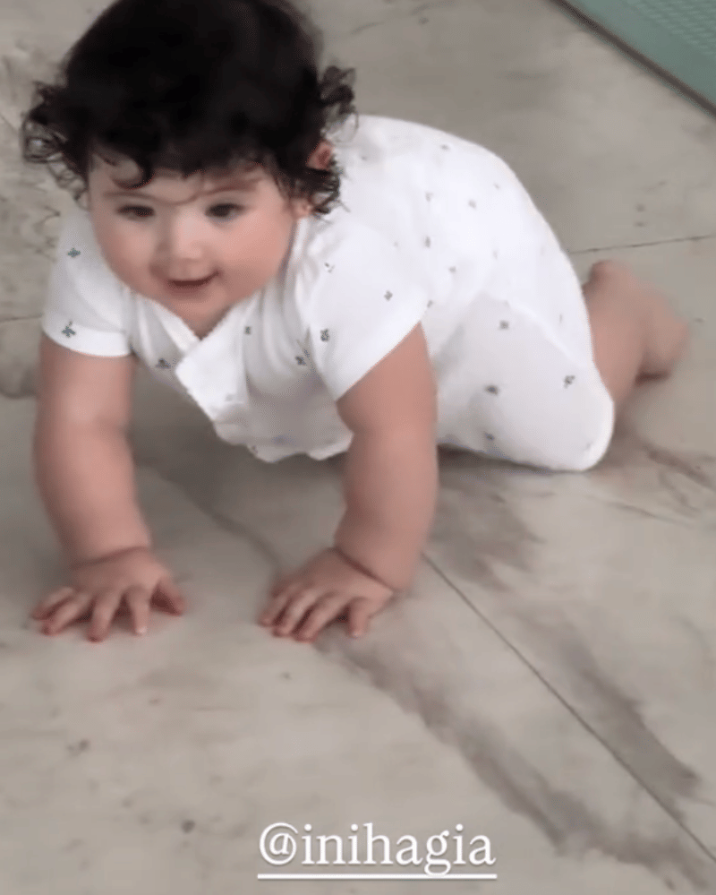 Komentar dan reaksi netizen atas perkembangan Gia.png