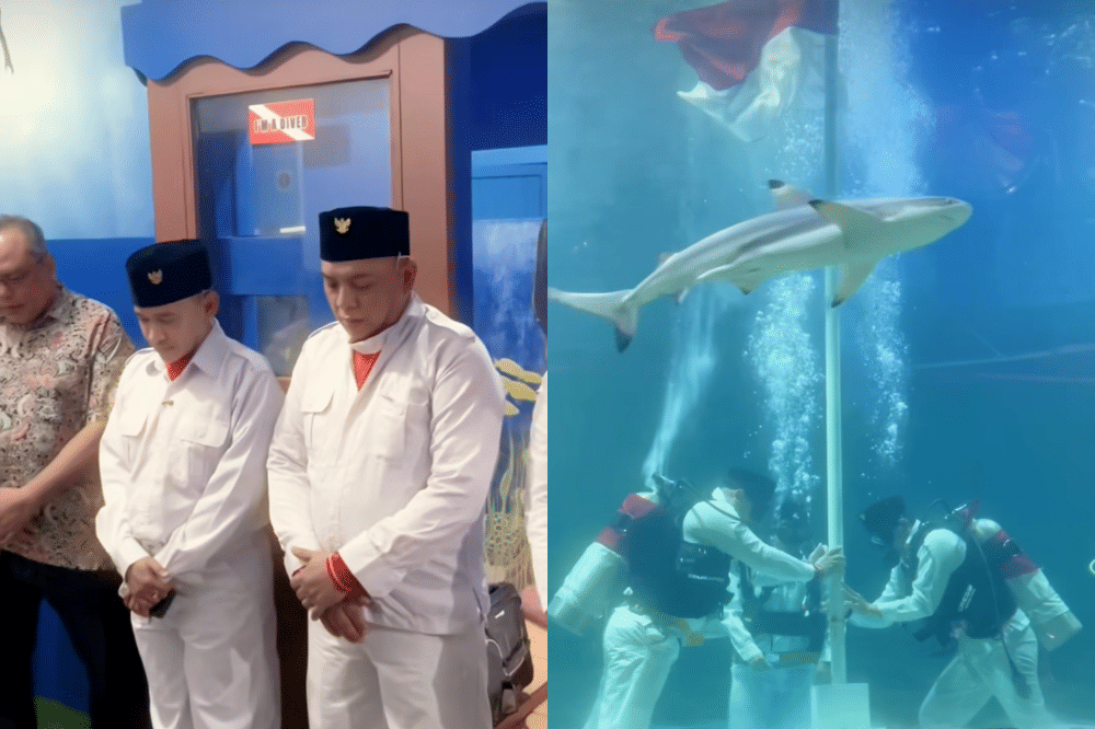 Momen Seru 17 Seleb Rayakan 17 Agustus, Ikut Lomba hingga Kegiatan Spesial.png